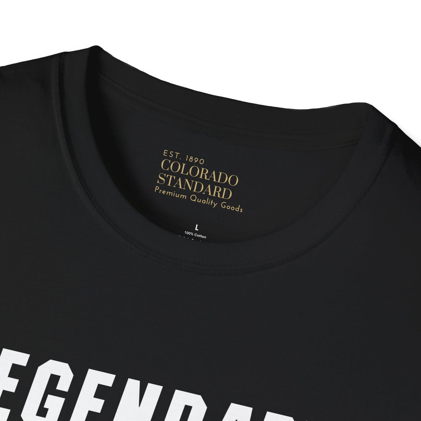 Legendary 2 Unisex Softstyle T-Shirt